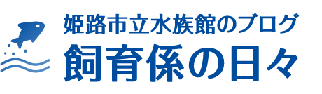 姫路市立水族館のブログ　飼育係の日々