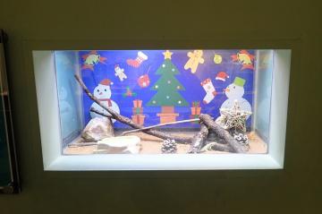 クリスマス仕様に展示した水槽の画像